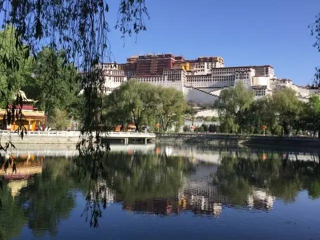 我们驾驶着观致汽车回到拉萨，回到了布达拉