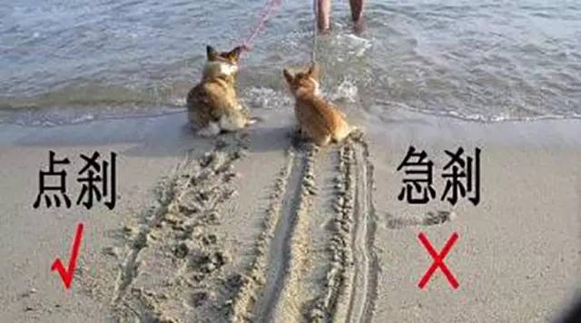 高速公路上开车最重要的这几点你都知道吗？