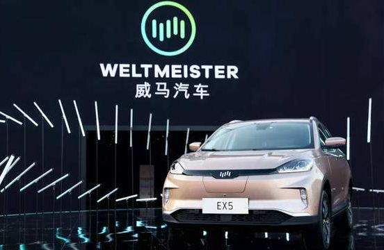 销量，比亚迪，蔚来，新能源车销量，比亚迪,6月汽车销量,新能源汽车,威马