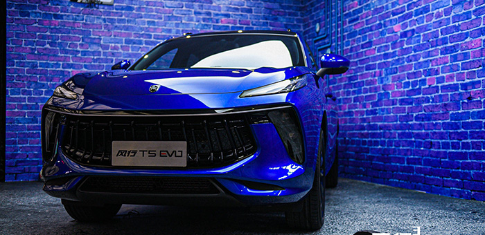 采用全新劲狮标 东风风行T5 EVO正式发布
