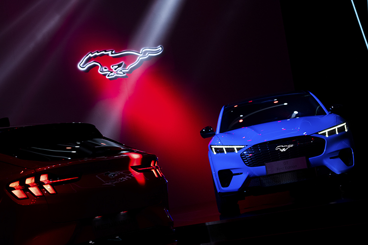 销量，Model Y，Mustang Mach-E销量,特斯拉销量
