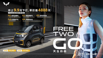 开启Couple世界，五菱NanoEV上市4.98万元起