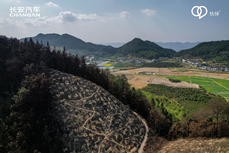 共建生态文明，守护绿色家园，长安汽车植树节有大动作