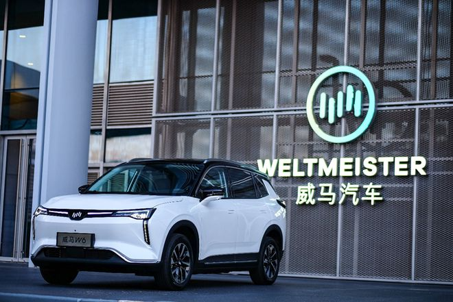 威马汽车借壳上市梦碎，创始人沈晖仍“在线”