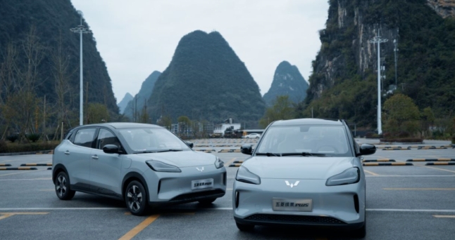 有颜有智续航还实，五菱缤果PLUS提前预定A0级电动新宠？